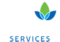 Blue Spring Services Logo