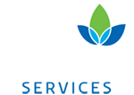 Blue Spring Services Logo